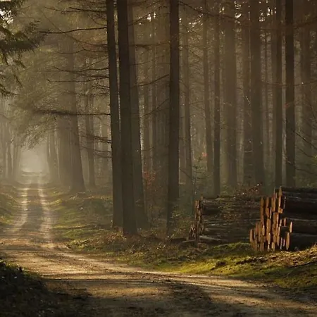 Welkom In Chalet Floral Deer Op De Veluwe Пюттен